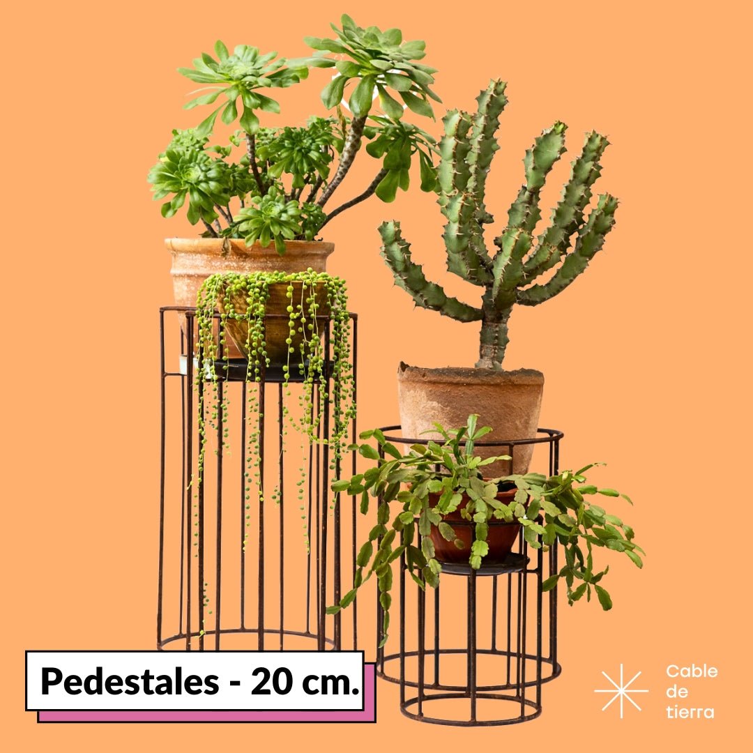Pedestal - 20 cm - cactusandes