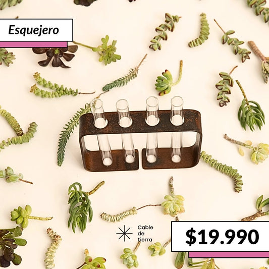 Esquejero - Cable de Tierra - cactusandes
