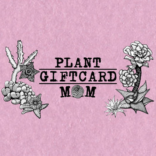 Gift Card Cactus Andes - cactusandes